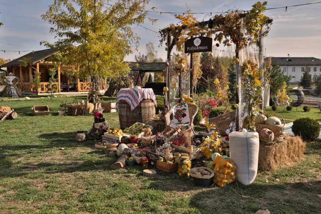 Forest Retreat Spa - 4