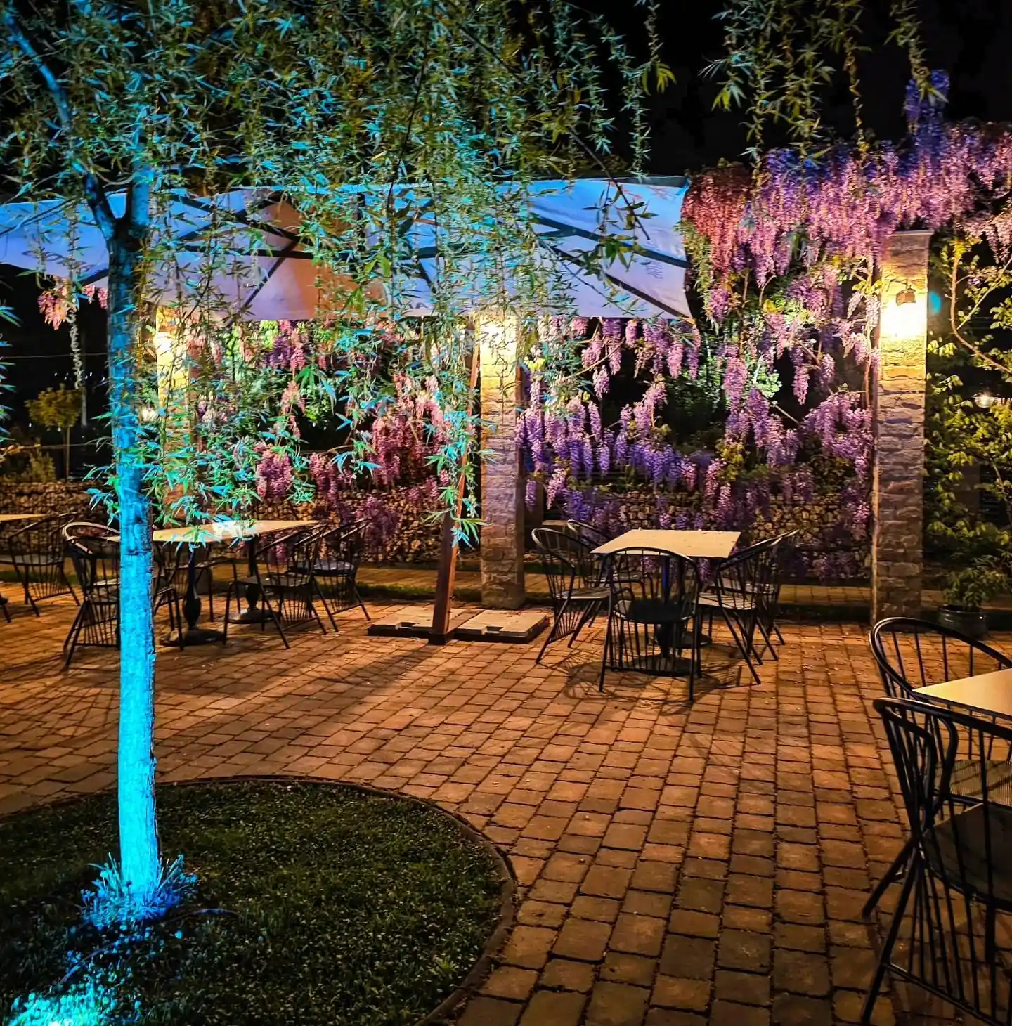 Hanul cu Sălcii - 4