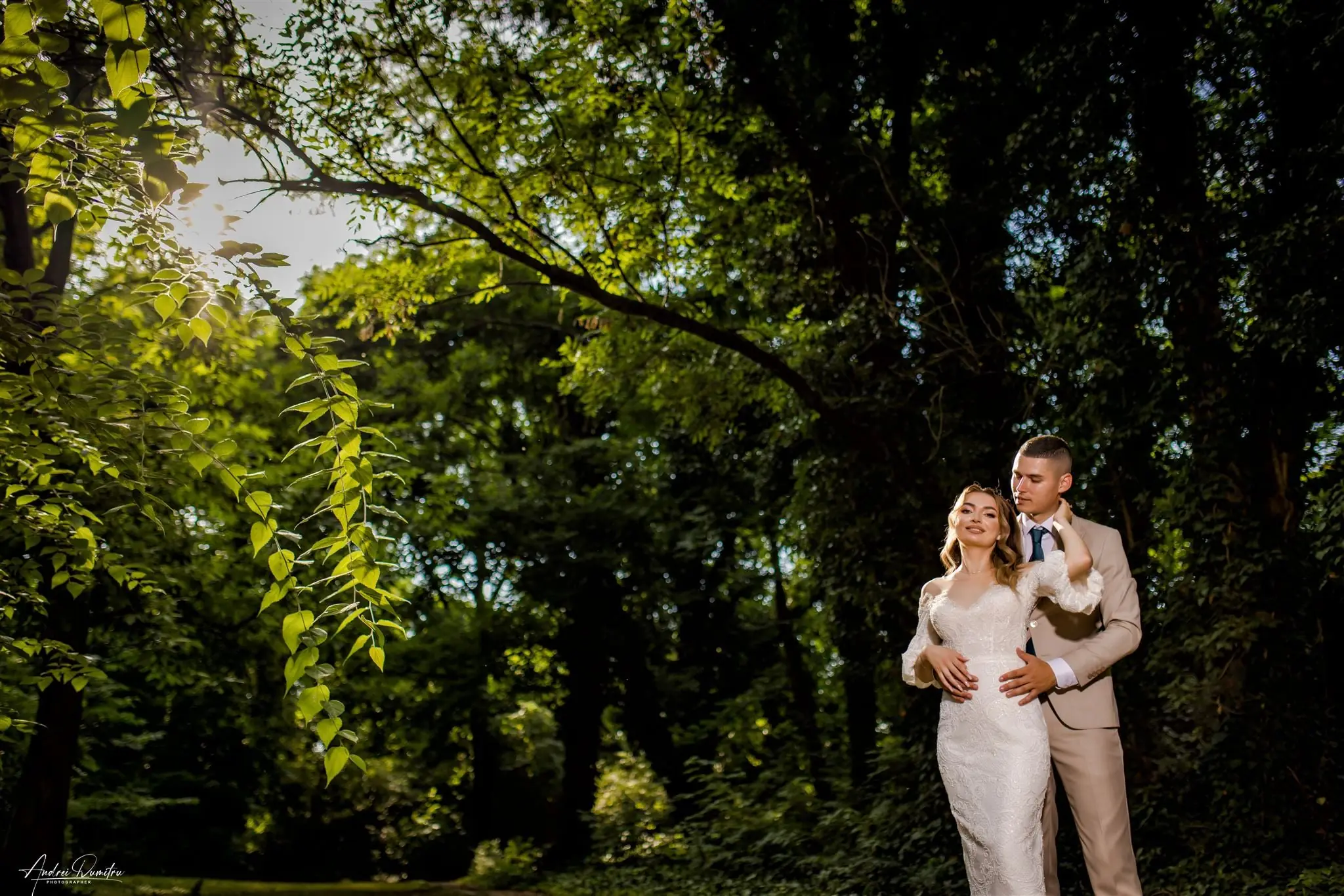 Andrei Dumitru Photographer - fundal furnizor