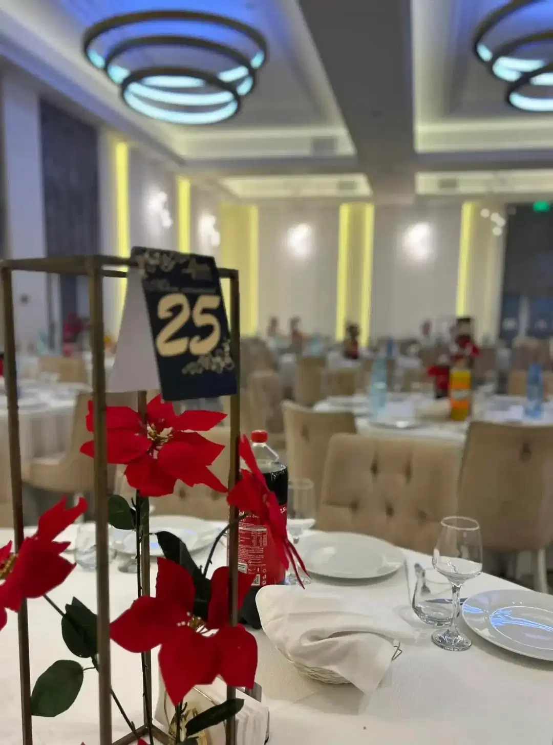 Ariata - 6 Ariata - 6