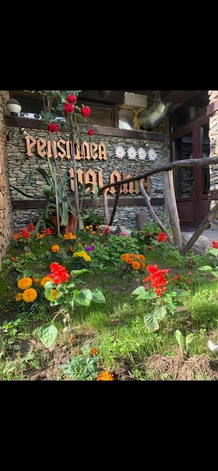 Complex Turistic Valahia