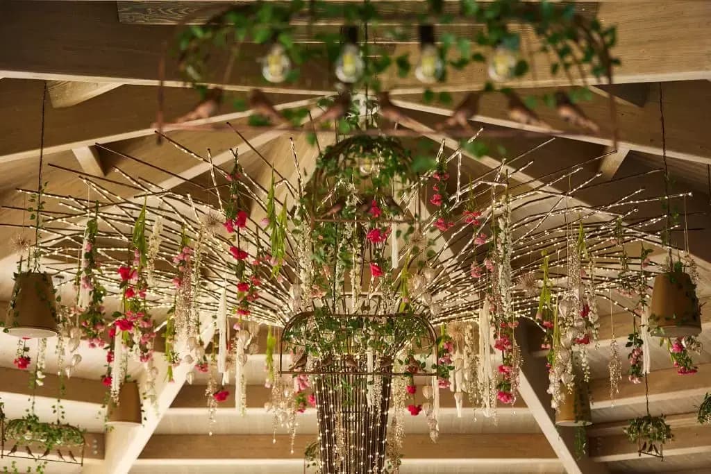 Resort Casa Timiș - 1 Resort Casa Timiș - 1