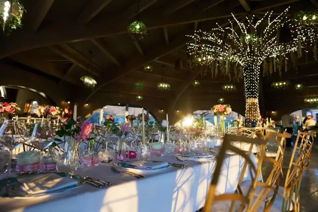 Resort Casa Timiș - 4 Resort Casa Timiș - 4