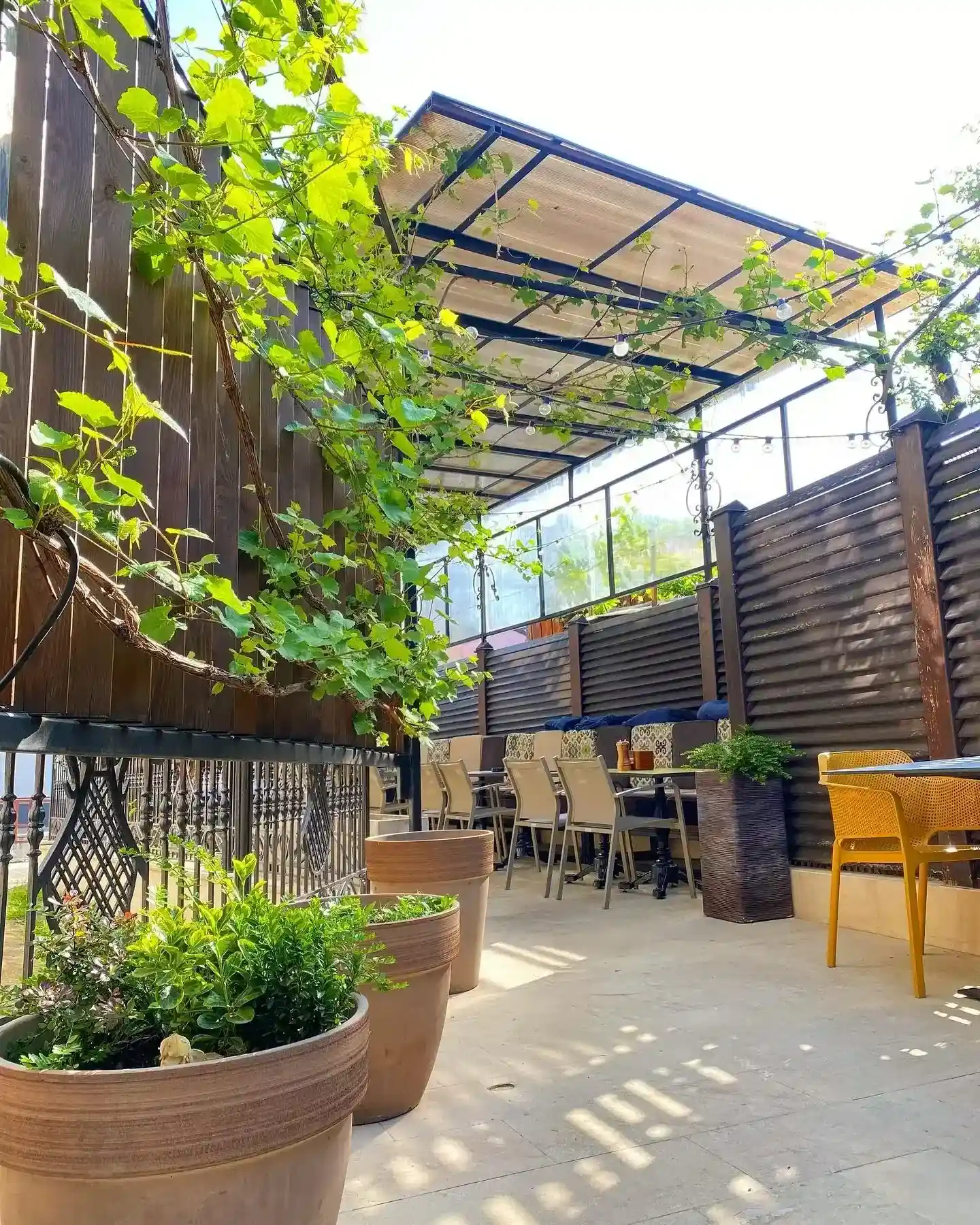 Bistro Zona - fotografie 3