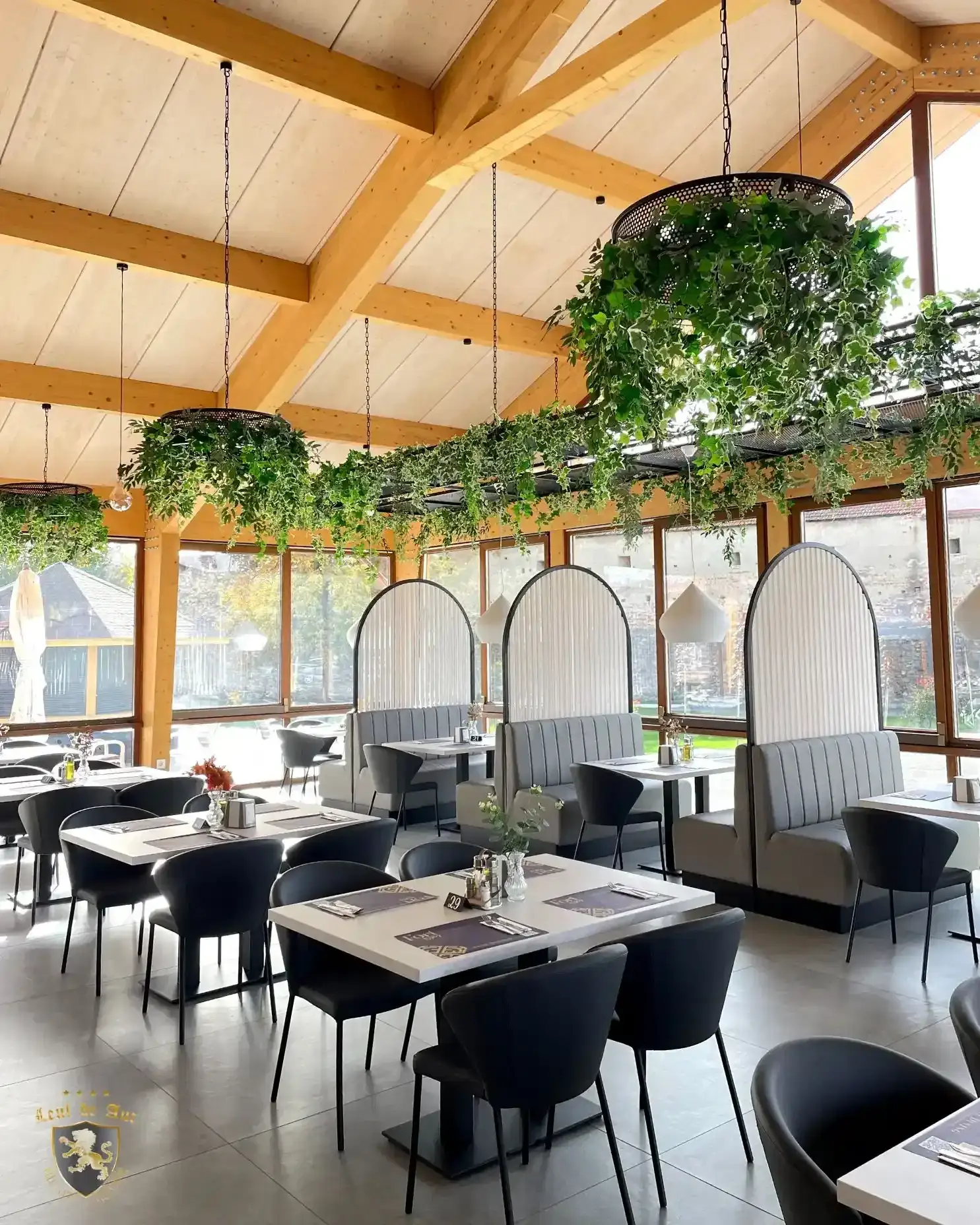 Hotel Leul De Aur - fotografie 4