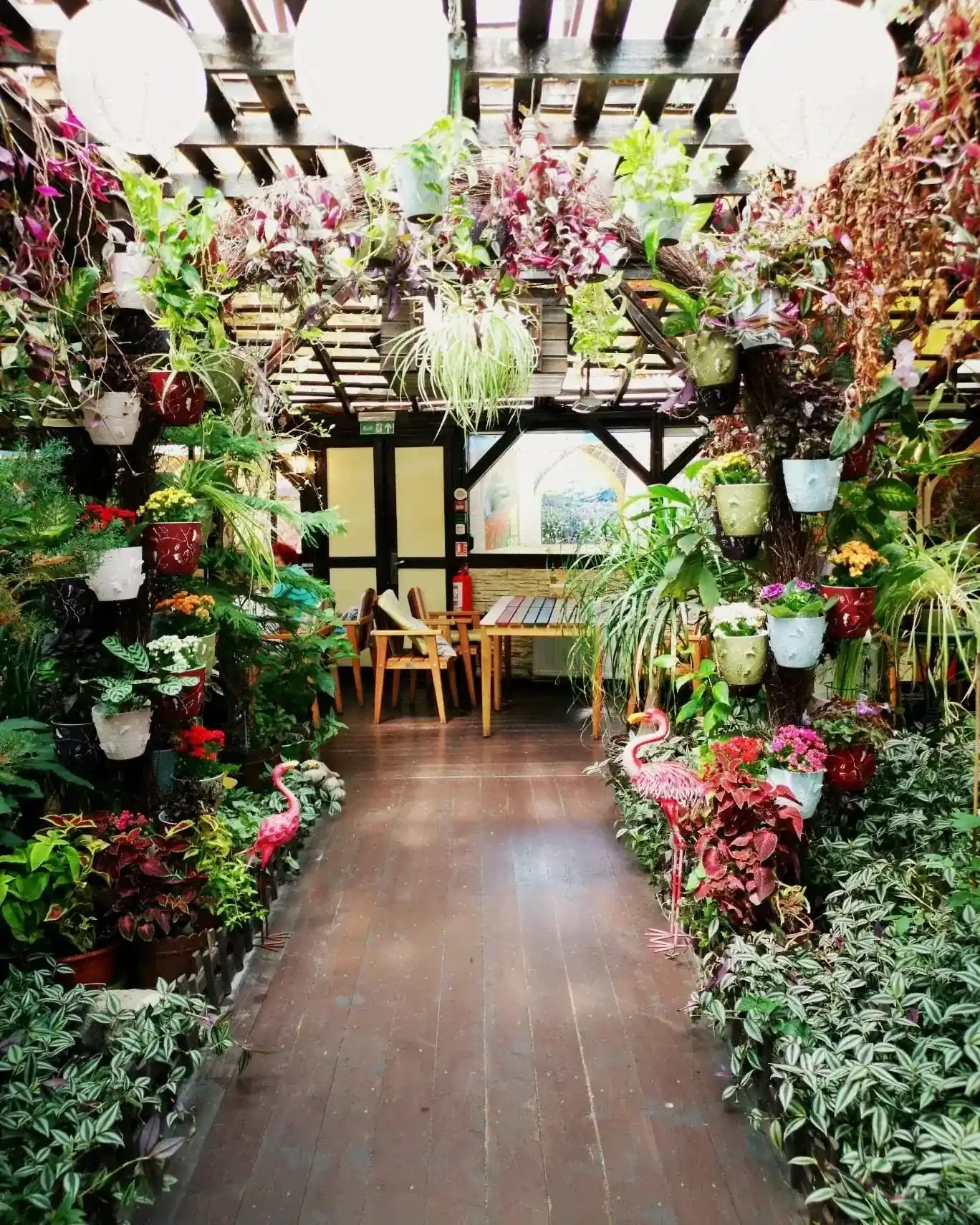 Journey Garden - fotografie 6