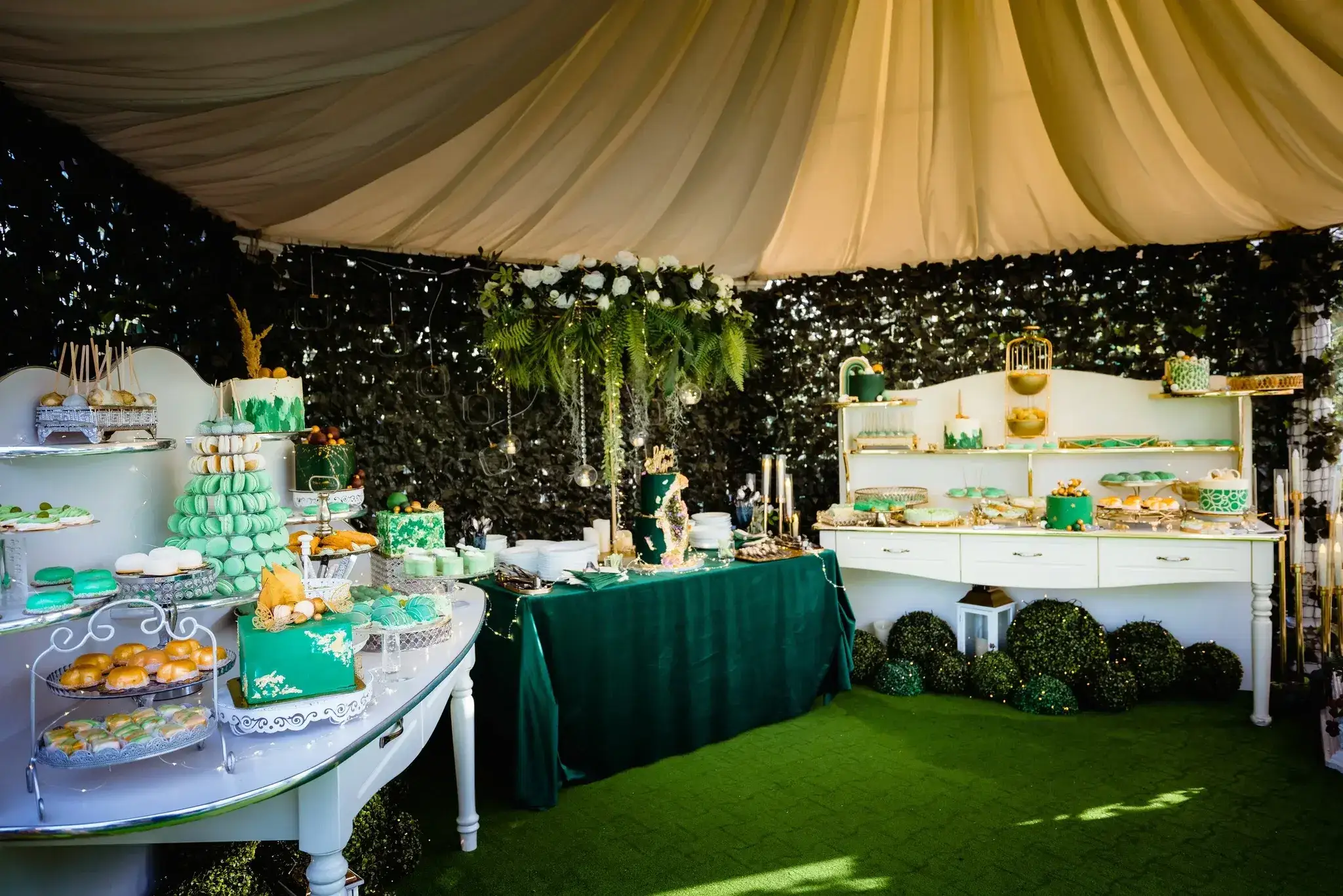 Juliana Ballroom Brad - fotografie 2
