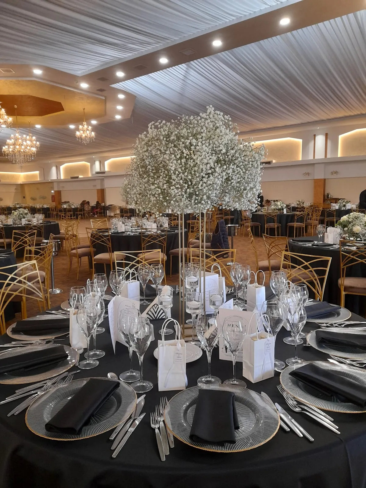 Palace Events Rehoma