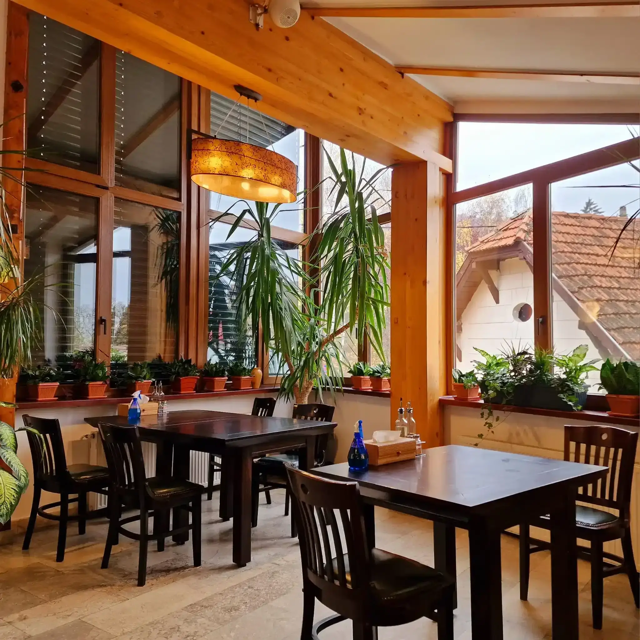 Restaurant Roata Norocului - fotografie 5