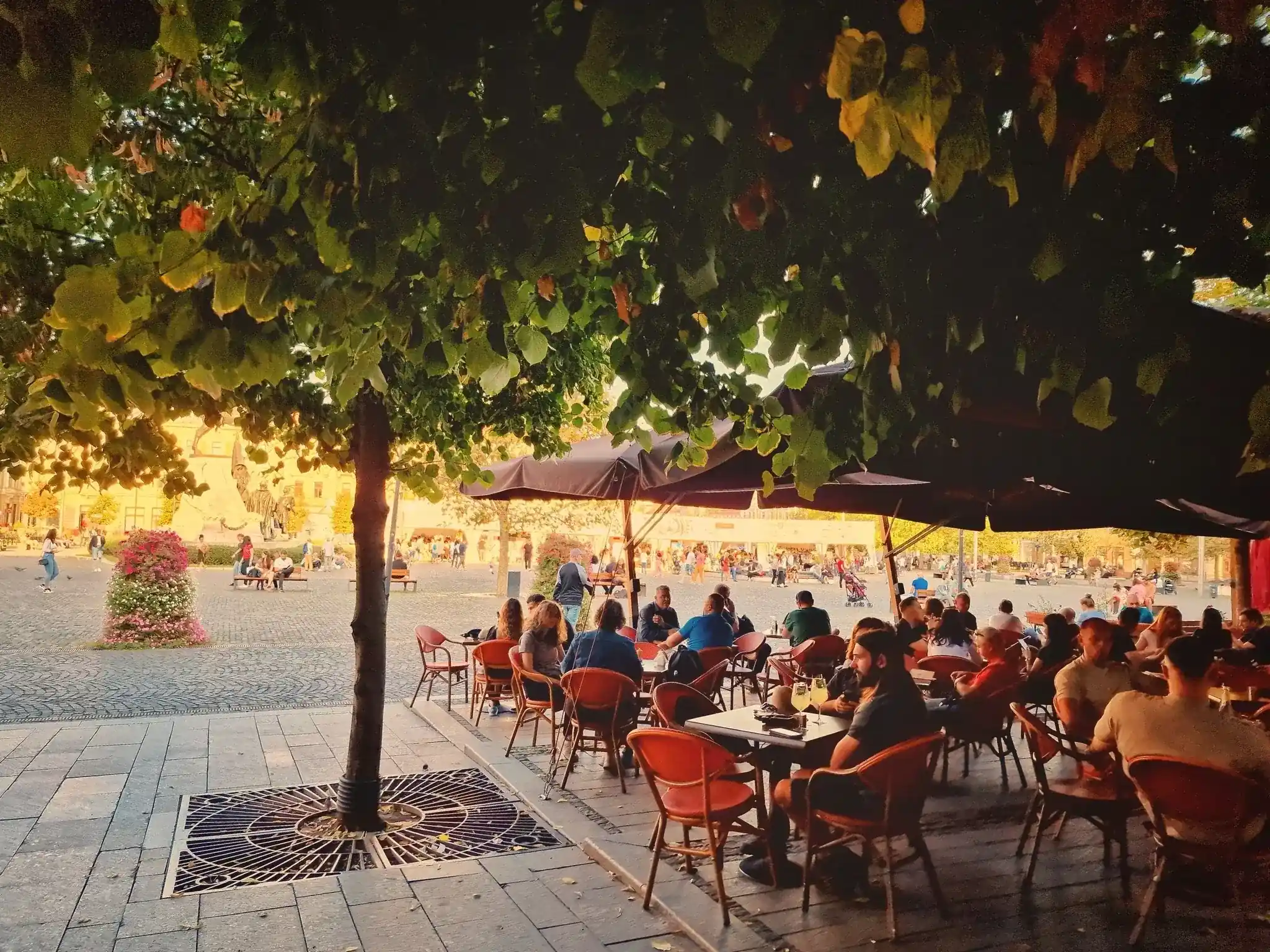 Restaurant Toulouse - fotografie 5