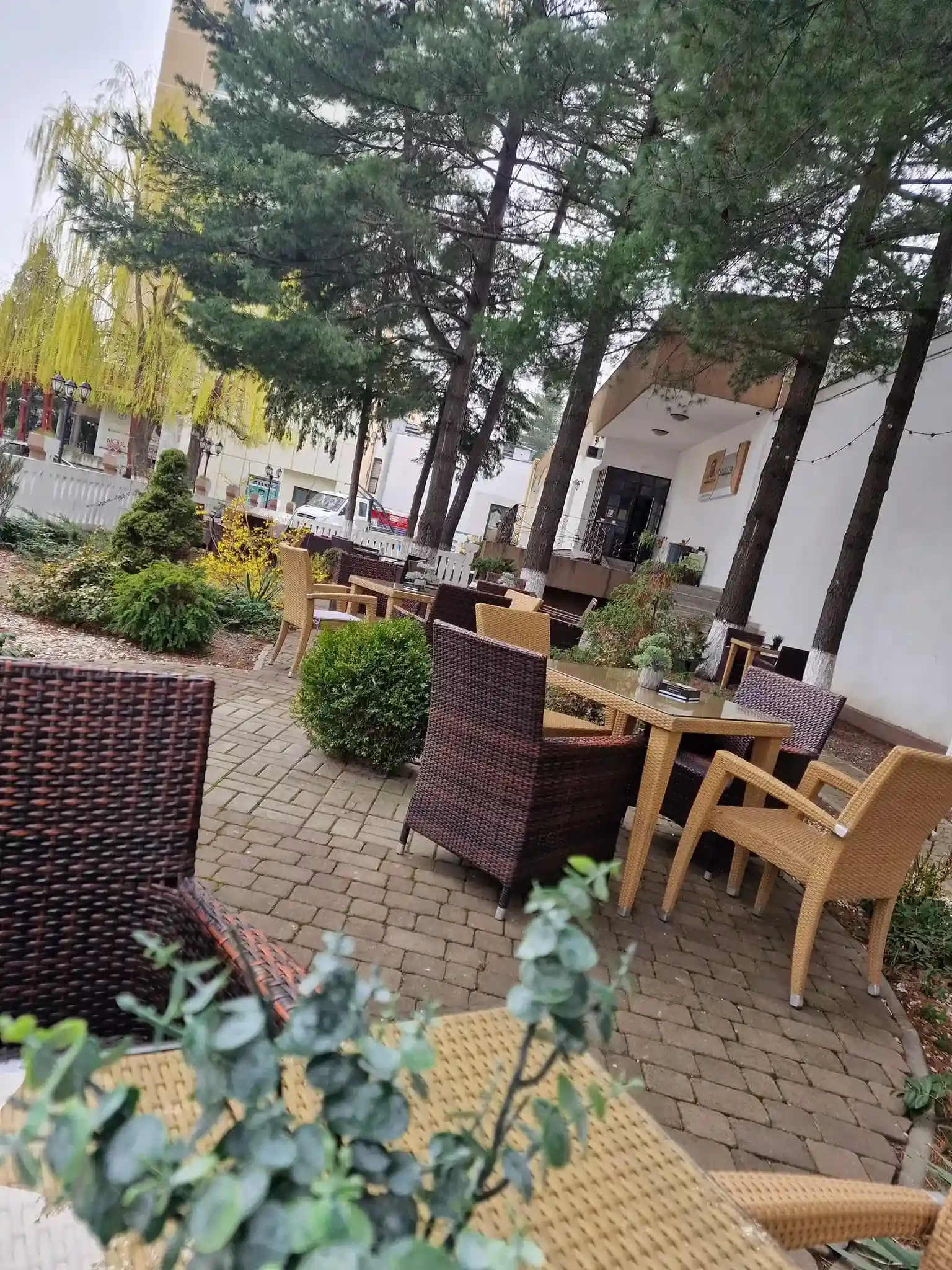 Taverna Trotusului - fotografie 3